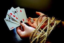 Вход на официальный сайт Kaktuz Casino